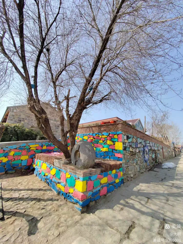 蔡家沟,一个农民艺术家化的童话世界